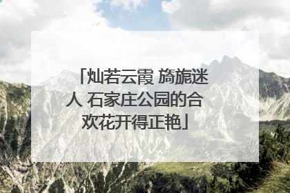 灿若云霞 旖旎迷人 石家庄公园的合欢花开得正艳