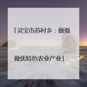 灵宝市苏村乡：做强做优特色农业产业
