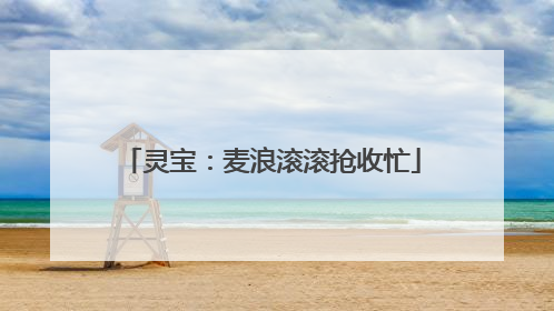 灵宝：麦浪滚滚抢收忙