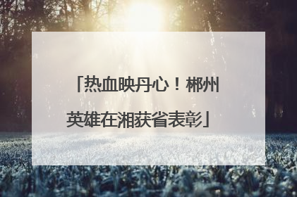热血映丹心！郴州英雄在湘获省表彰
