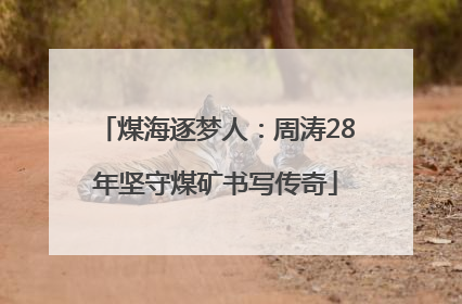 煤海逐梦人：周涛28年坚守煤矿书写传奇