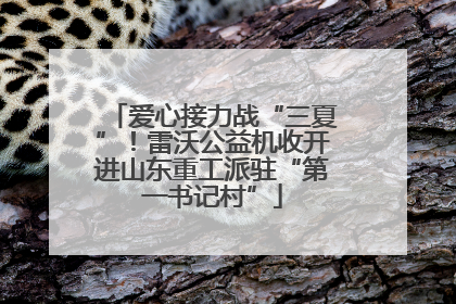 爱心接力战“三夏”！雷沃公益机收开进山东重工派驻“第一书记村”