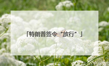 特朗普签令“放行”