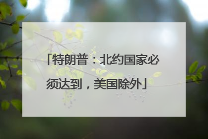 特朗普：北约国家必须达到，美国除外