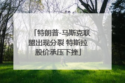 特朗普-马斯克联盟出现分裂 特斯拉股价承压下挫
