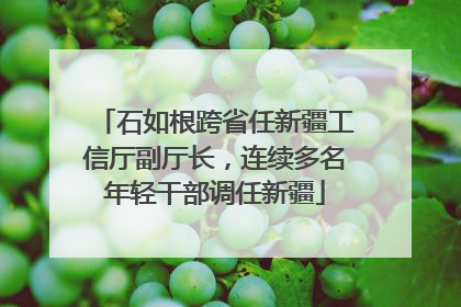 石如根跨省任新疆工信厅副厅长，连续多名年轻干部调任新疆