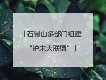 石景山多部门组建“护未大联盟”