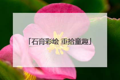 石膏彩绘 重拾童趣