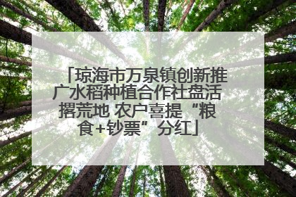 琼海市万泉镇创新推广水稻种植合作社盘活撂荒地 农户喜提“粮食+钞票”分红