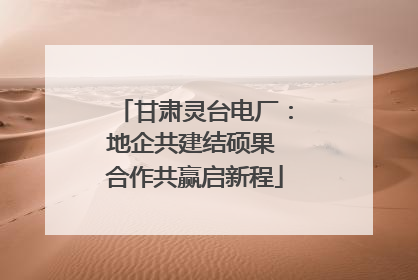 甘肃灵台电厂：地企共建结硕果 合作共赢启新程