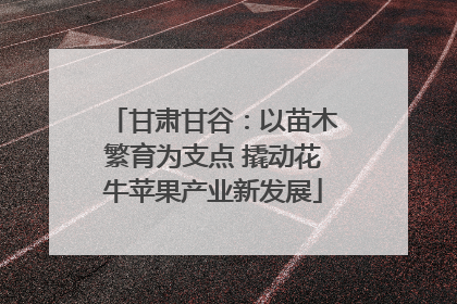 甘肃甘谷：以苗木繁育为支点 撬动花牛苹果产业新发展