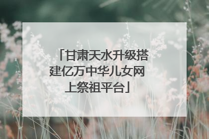 甘肃天水升级搭建亿万中华儿女网上祭祖平台