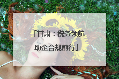 甘肃：税务领航 助企合规前行