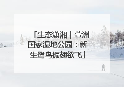 生态潇湘｜萱洲国家湿地公园：新生鹭鸟振翅欲飞