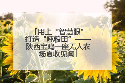用上“智慧眼” 打造“吨粮田”——陕西宝鸡一座无人农场夏收见闻