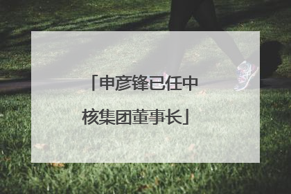 申彦锋已任中核集团董事长