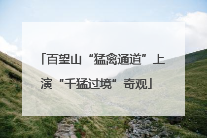 百望山“猛禽通道”上演“千猛过境”奇观