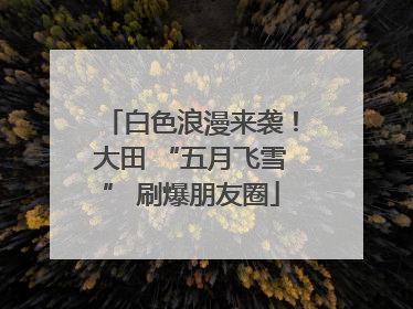 白色浪漫来袭！大田 “五月飞雪” 刷爆朋友圈