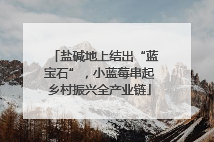 盐碱地上结出“蓝宝石”，小蓝莓串起乡村振兴全产业链
