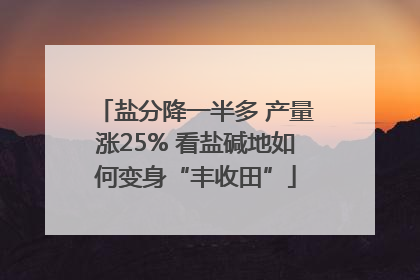 盐分降一半多 产量涨25% 看盐碱地如何变身“丰收田”