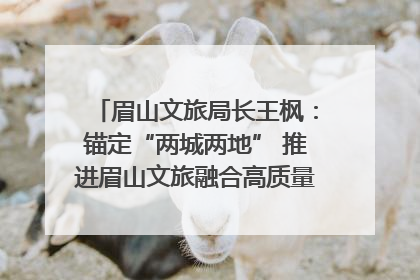 眉山文旅局长王枫：锚定“两城两地” 推进眉山文旅融合高质量发展｜文旅局长说