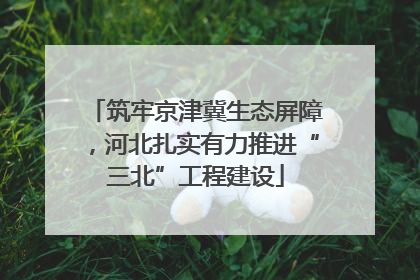筑牢京津冀生态屏障，河北扎实有力推进“三北”工程建设