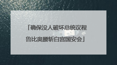 确保没人破坏总统议程 鲁比奥腰斩白宫国安会