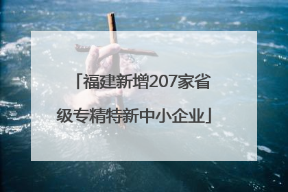 福建新增207家省级专精特新中小企业