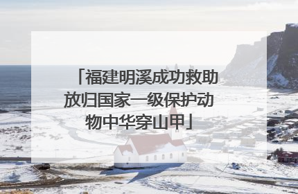 福建明溪成功救助放归国家一级保护动物中华穿山甲