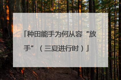 种田能手为何从容“放手”（三夏进行时）