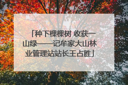 种下棵棵树 收获一山绿——记牟家大山林业管理站站长王占胜