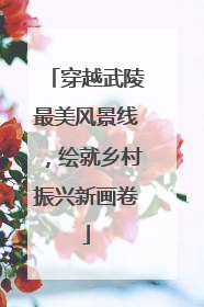穿越武陵最美风景线，绘就乡村振兴新画卷