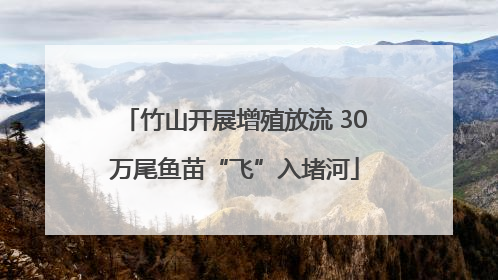 竹山开展增殖放流 30万尾鱼苗“飞”入堵河