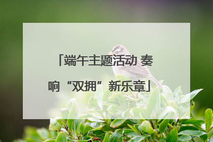 端午主题活动 奏响“双拥”新乐章