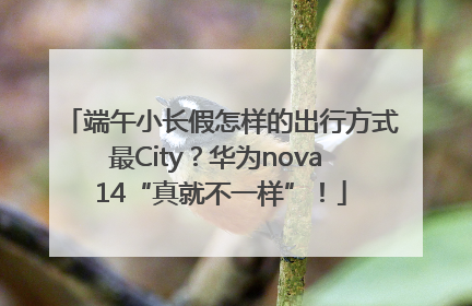 端午小长假怎样的出行方式最City？华为nova 14“真就不一样”！