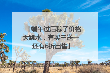 端午过后粽子价格大跳水，有买三送一还有6折出售