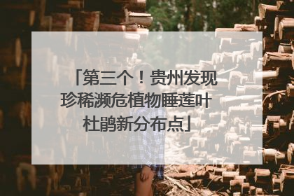 第三个！贵州发现珍稀濒危植物睡莲叶杜鹃新分布点