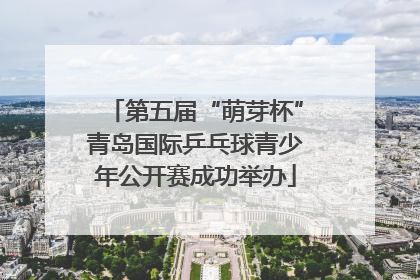 第五届“萌芽杯”青岛国际乒乓球青少年公开赛成功举办