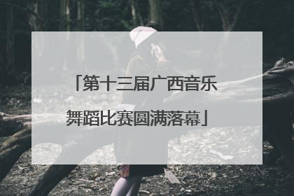 第十三届广西音乐舞蹈比赛圆满落幕