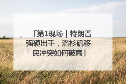 第1现场｜特朗普强硬出手，洛杉矶移民冲突如何破局
