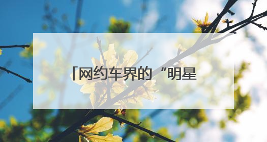 网约车界的“明星”司机蔡强：平凡之路，闪耀星光