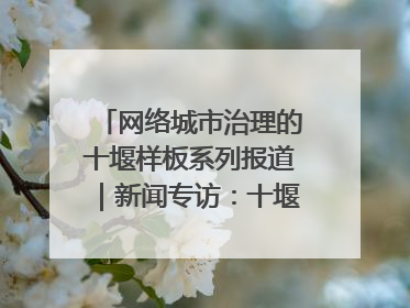 网络城市治理的十堰样板系列报道｜新闻专访：十堰为什么成为“黑马型”城市治理网络维度典型