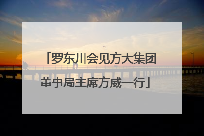 罗东川会见方大集团董事局主席方威一行