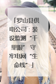 罗山县供电公司：装设监测“千里眼” 守牢电网“生命线”