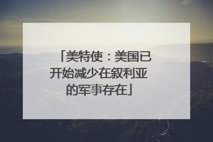 美特使：美国已开始减少在叙利亚的军事存在