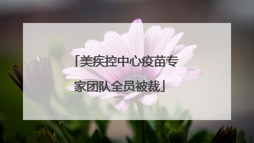 美疾控中心疫苗专家团队全员被裁