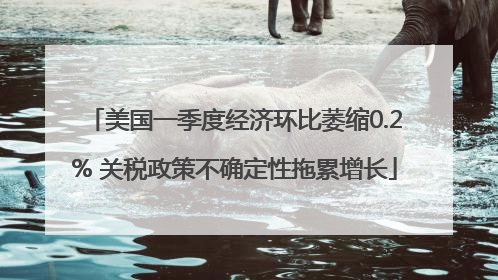 美国一季度经济环比萎缩0.2% 关税政策不确定性拖累增长