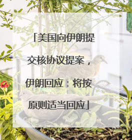 美国向伊朗提交核协议提案，伊朗回应：将按原则适当回应