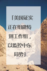 美国证实正在组建特别工作组，以监控中东局势