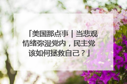 美国那点事｜当悲观情绪弥漫党内，民主党该如何拯救自己？